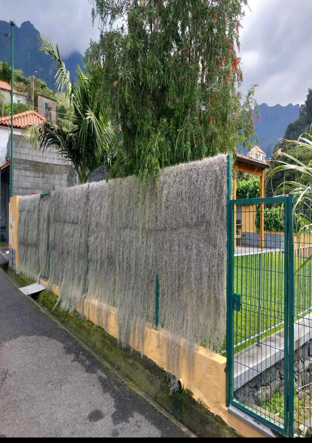 Willa Refugio Do Limoeiro São Vicente Zewnętrze zdjęcie